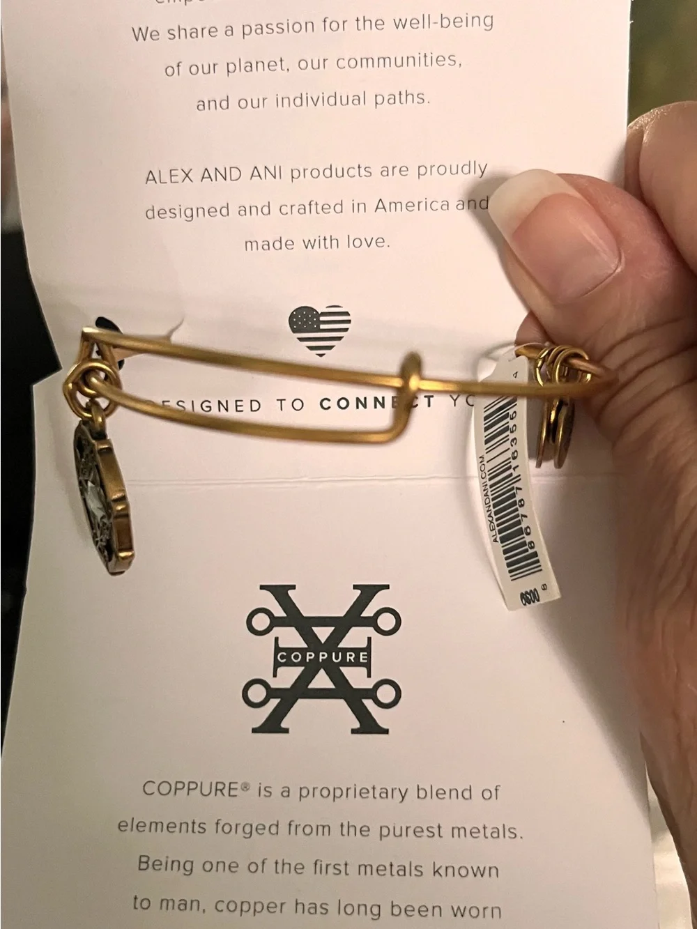 Alex and Ani Gold Growth & New Beginnings Thin Bangle